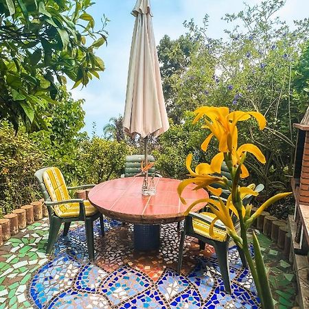 Canarian Cottage With Terrace Surrounded By Garden - Alisios La Orotava Ngoại thất bức ảnh