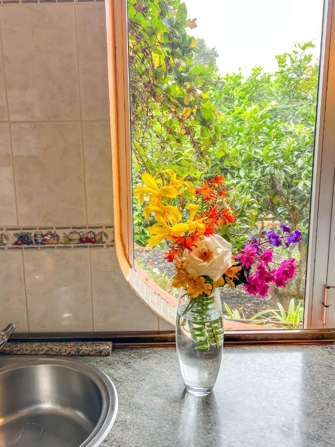 Canarian Cottage With Terrace Surrounded By Garden - Alisios La Orotava Ngoại thất bức ảnh