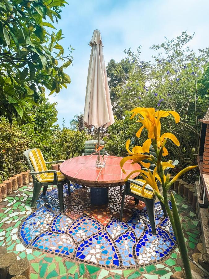 Canarian Cottage With Terrace Surrounded By Garden - Alisios La Orotava Ngoại thất bức ảnh