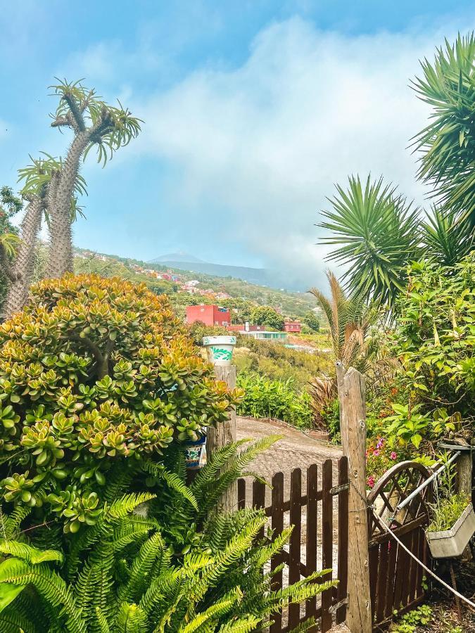 Canarian Cottage With Terrace Surrounded By Garden - Alisios La Orotava Ngoại thất bức ảnh