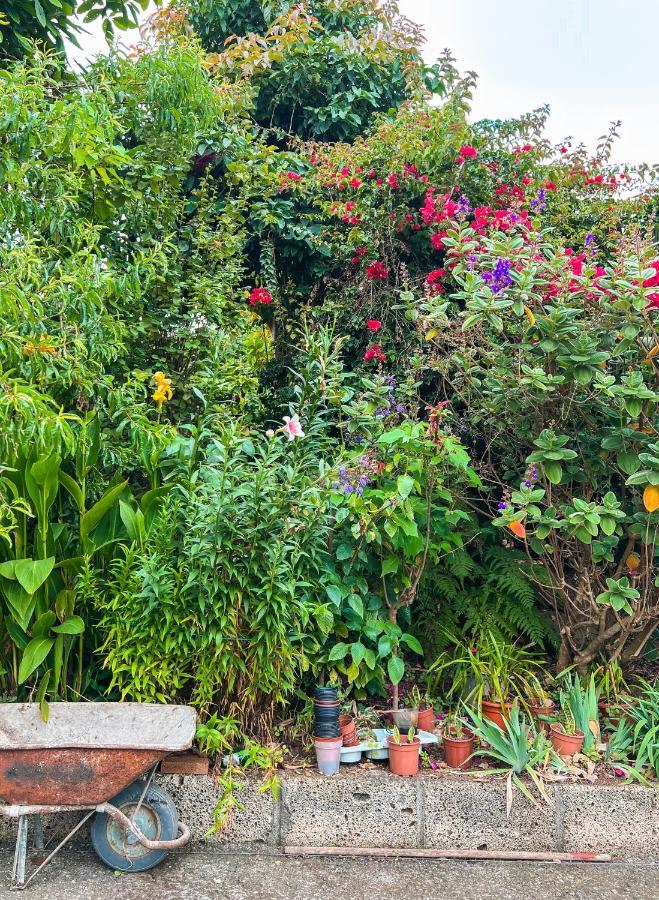 Canarian Cottage With Terrace Surrounded By Garden - Alisios La Orotava Ngoại thất bức ảnh