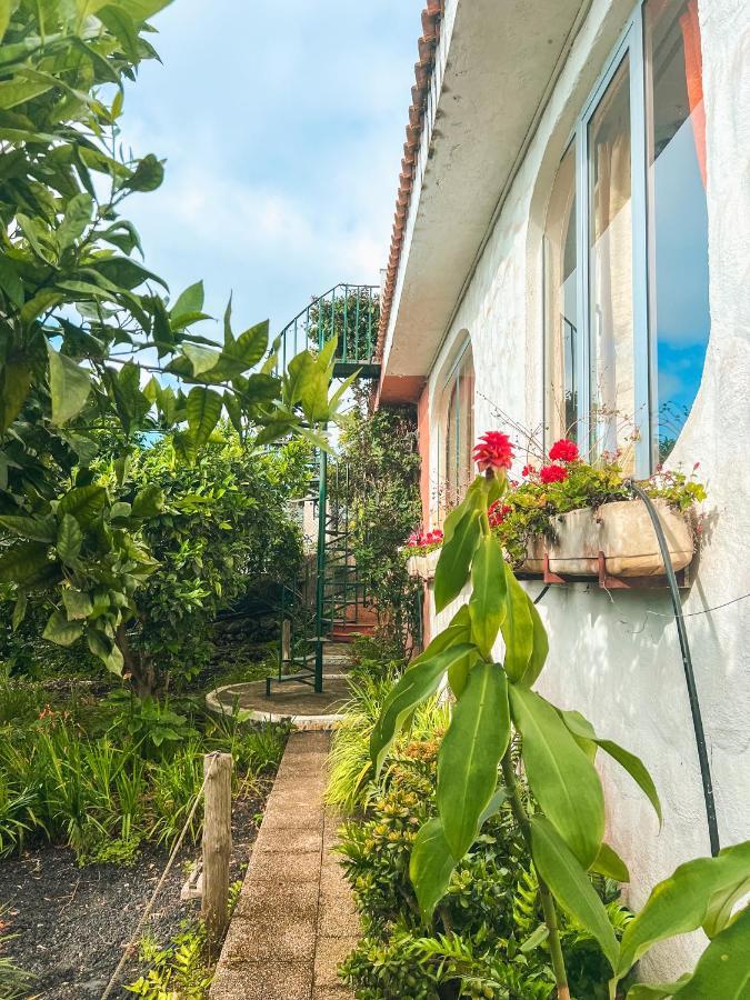 Canarian Cottage With Terrace Surrounded By Garden - Alisios La Orotava Ngoại thất bức ảnh
