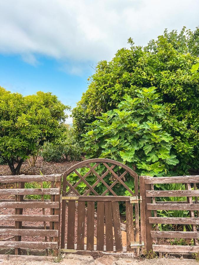 Canarian Cottage With Terrace Surrounded By Garden - Alisios La Orotava Ngoại thất bức ảnh