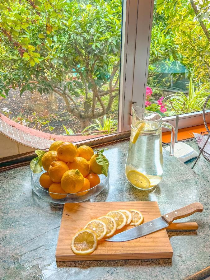 Canarian Cottage With Terrace Surrounded By Garden - Alisios La Orotava Ngoại thất bức ảnh