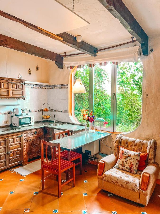 Canarian Cottage With Terrace Surrounded By Garden - Alisios La Orotava Ngoại thất bức ảnh