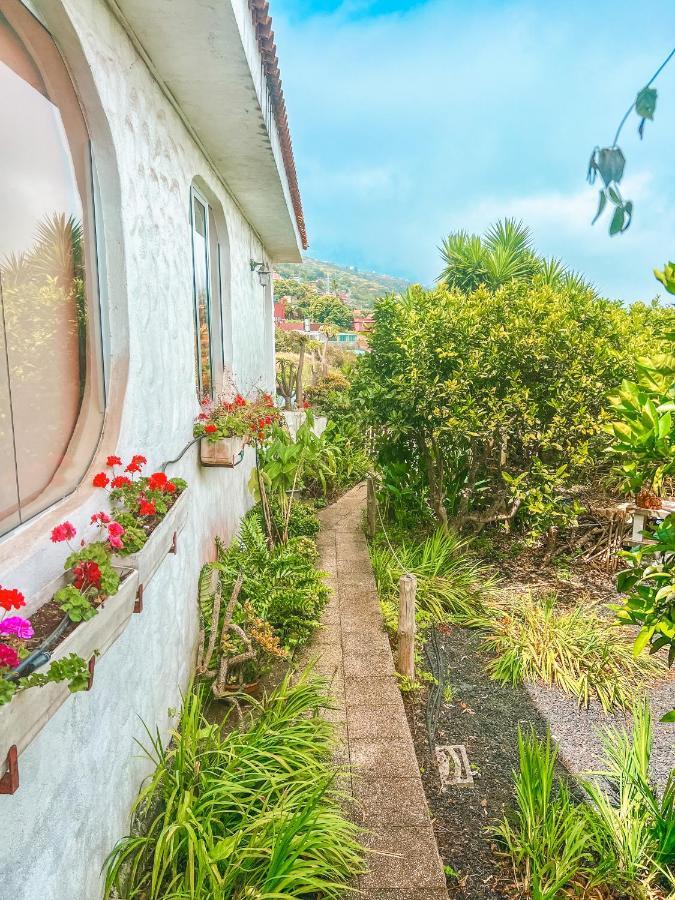 Canarian Cottage With Terrace Surrounded By Garden - Alisios La Orotava Ngoại thất bức ảnh