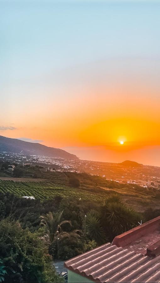 Canarian Cottage With Terrace Surrounded By Garden - Alisios La Orotava Ngoại thất bức ảnh