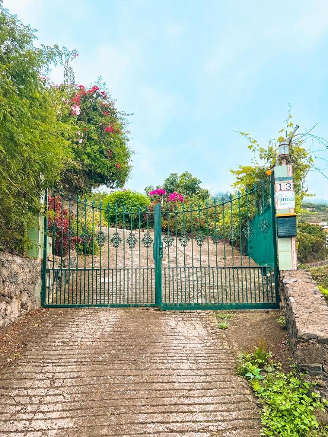 Canarian Cottage With Terrace Surrounded By Garden - Alisios La Orotava Ngoại thất bức ảnh